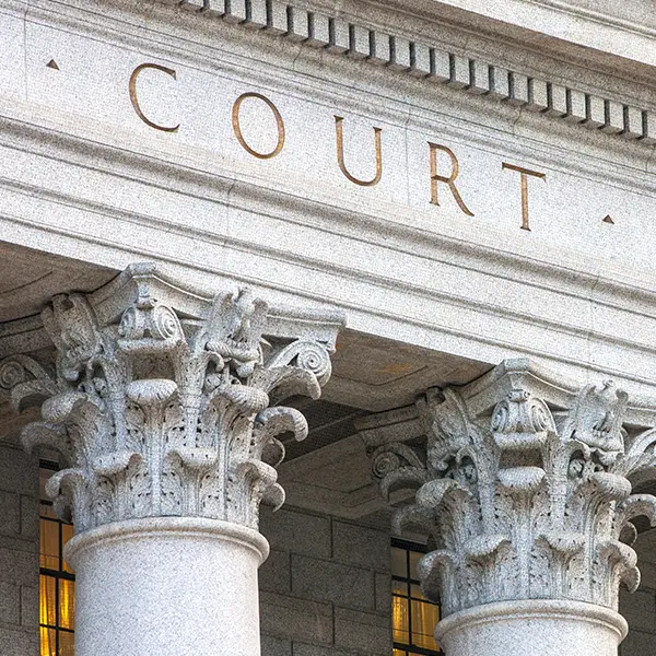 civil-rights Link to Civil Rights and Constitutional Law Practice Area Page